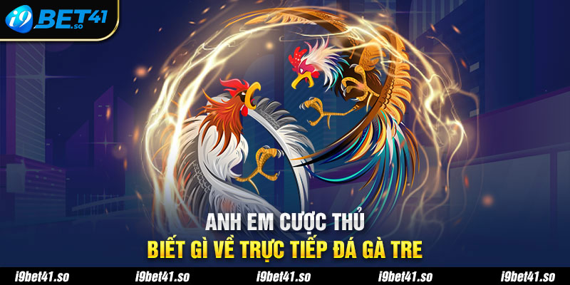 Anh em cược thủ biết gì về trực tiếp đá gà tre