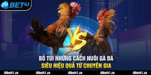 Bỏ Túi Những Cách Nuôi Gà Đá Siêu Hiệu Quả Từ Chuyên Gia