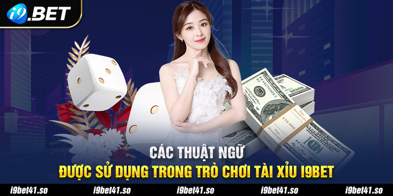 Các thuật ngữ được sử dụng trong trò chơi tài xỉu I9bet