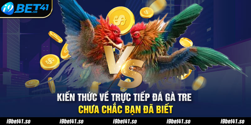 Kiến Thức Về Trực Tiếp Đá Gà Tre Chưa Chắc Bạn Đã Biết