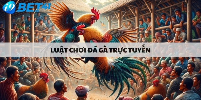 Luật chơi đá gà trực tuyến 