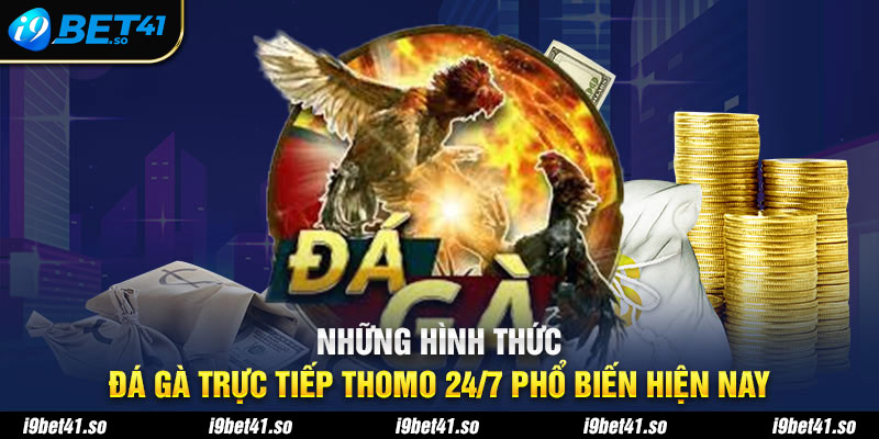 Những hình thức đá gà trực tiếp Thomo 24/7 phổ biến hiện nay