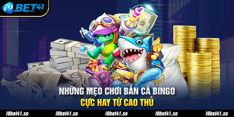 Những mẹo chơi bắn cá Bingo cực hay từ cao thủ