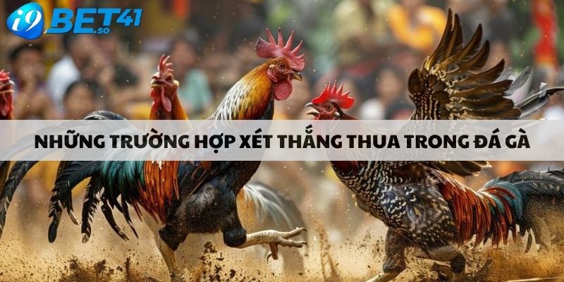 Những trường hợp xét thắng thua trong đá gà